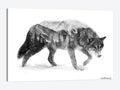 Black & White Wolf Canvas Art A728