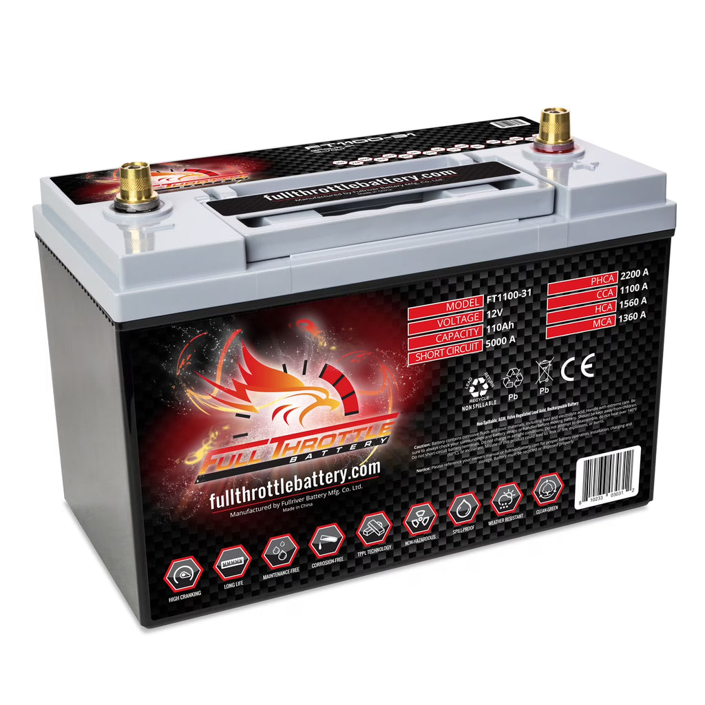 Group 31 AGM Battery F53113