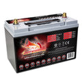 Group 31 AGM Battery F53113