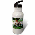 21 oz Sports Water Bottle P809