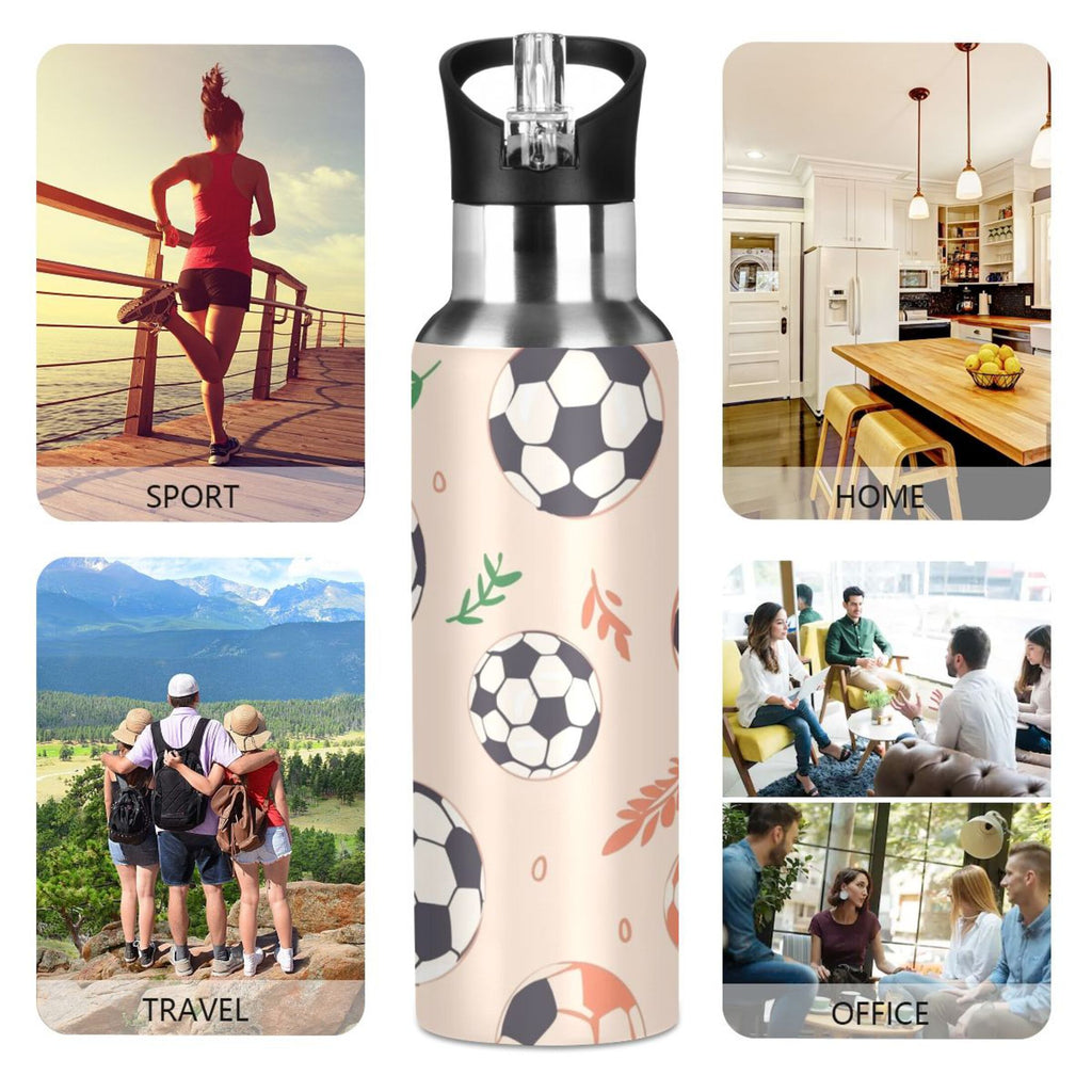 Insulated Stainless Steel Water Bottle with Straw Lid 20 oz D840568