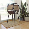 Cat Perch Z916764