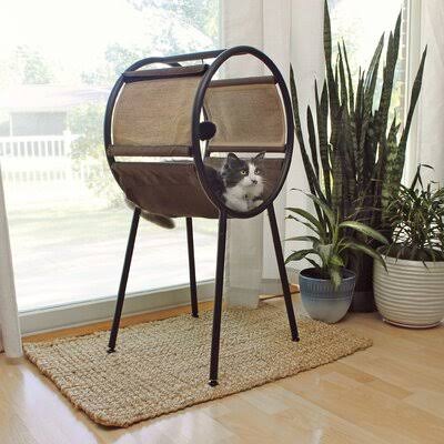Cat Perch Z916764