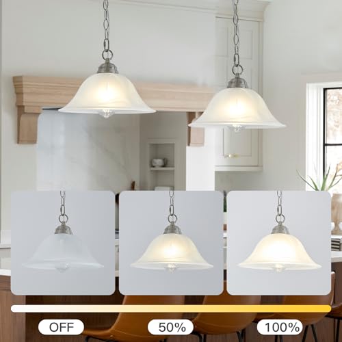 Black Hanging Pendant Light with Alabaster Glass Shade Z277158