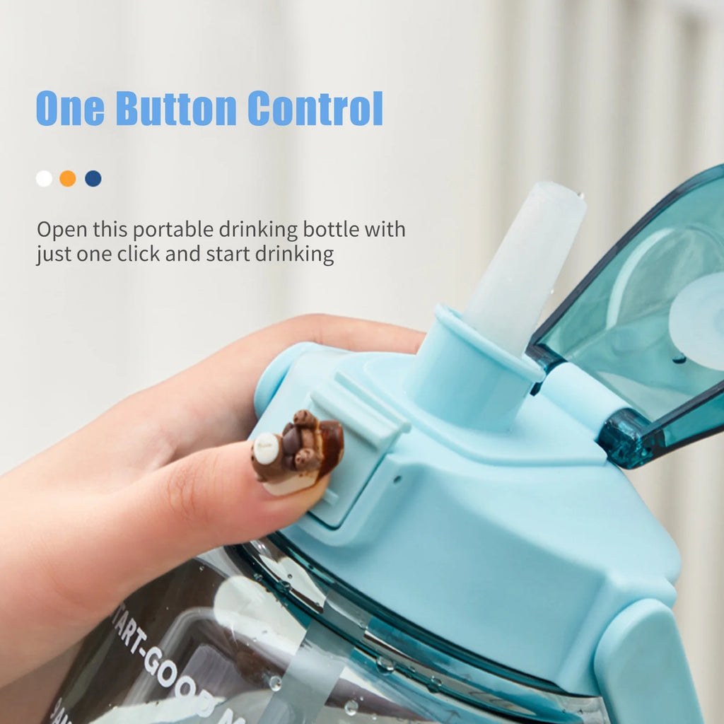 2L Bottle with Handle Reusable Leakproof Jug P73457