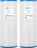 Spa Filter Cartridge 2 Pack F495