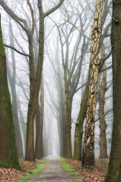 Large 3-Piece Canvas Print A7643
