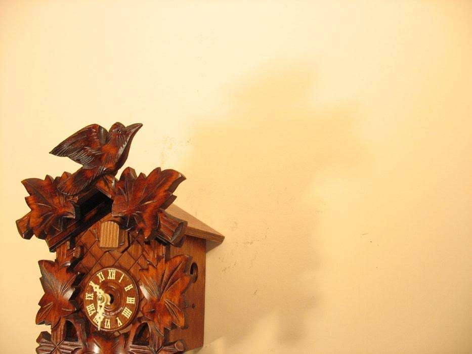 German Hand Carved Cuckoo Clock D9809
