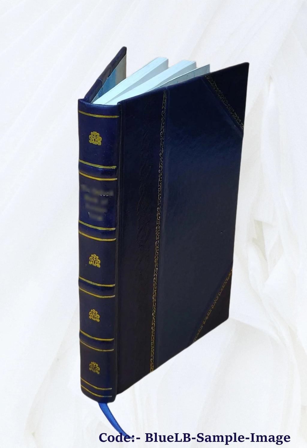 Up-to-date locomotion Z9510