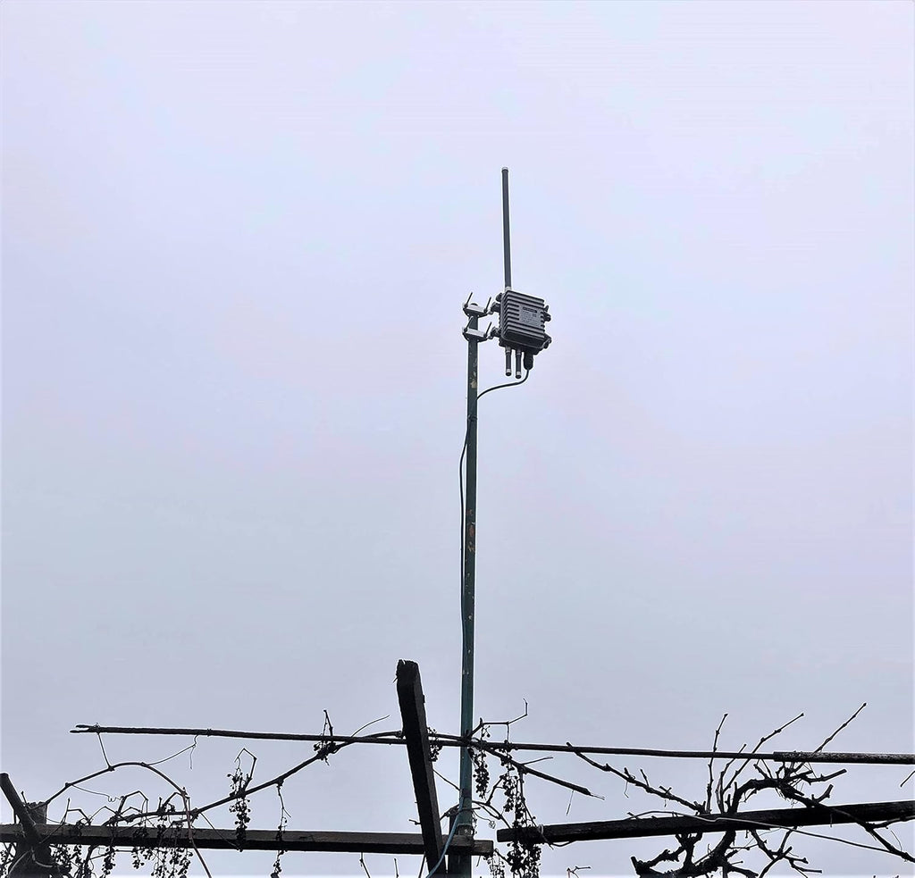 Gray Fiberglass LoRaWAN Antenna Pack of 2 Q46392