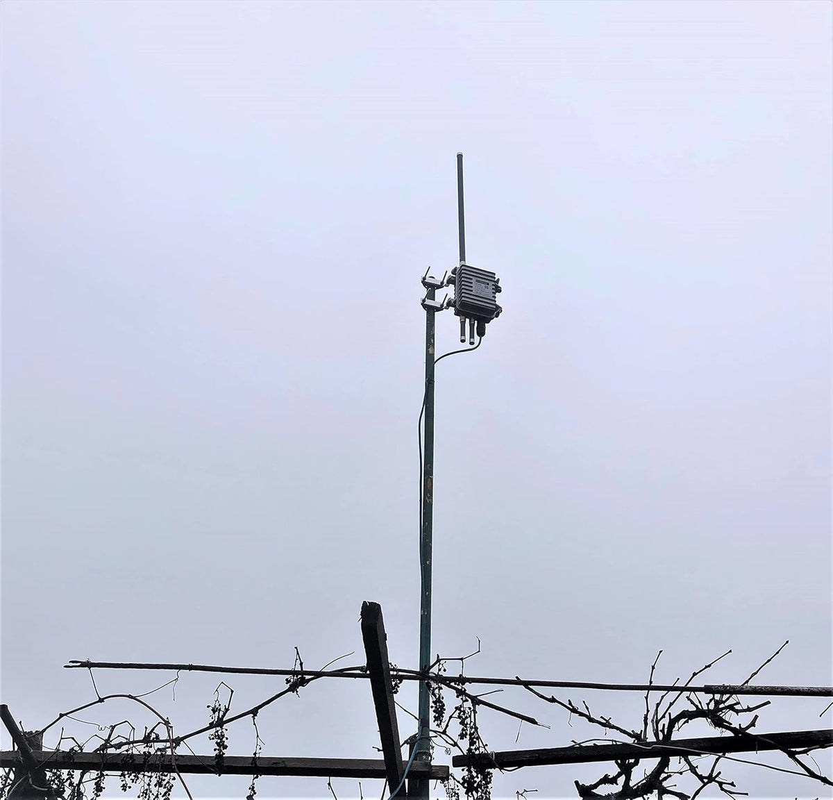 Gray Fiberglass LoRaWAN Antenna Pack of 2 Q46392