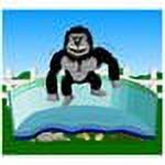 Gorilla Floor Padding 12' x 24' Oval I88506
