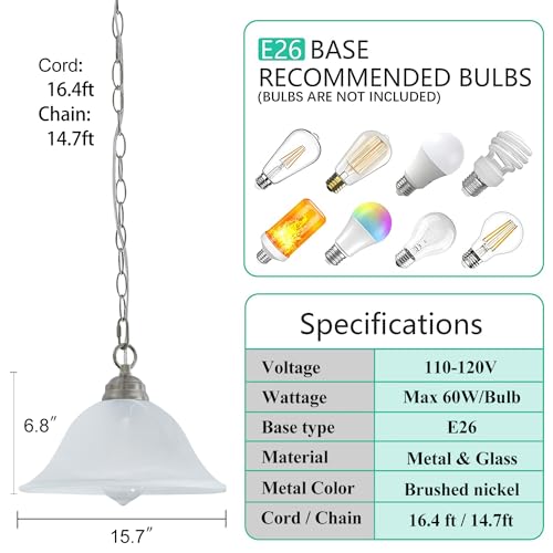 Black Hanging Pendant Light with Alabaster Glass Shade Z277158