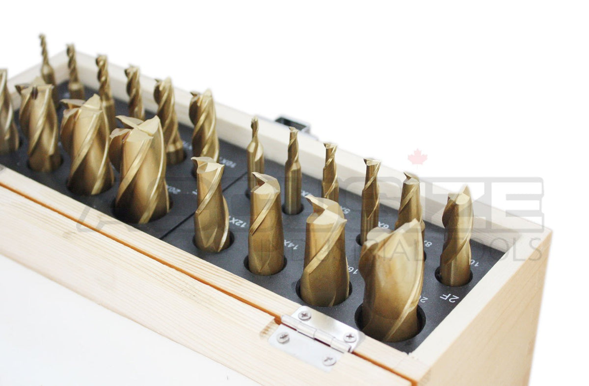 20 Pc H.S.S. Tin Coated End Mill Set, Metric Size, 2 Flute and 4 Flute P9278