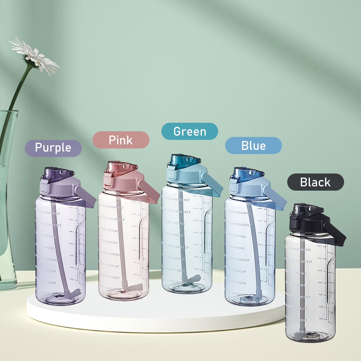 2L Bottle with Handle Reusable Leakproof Jug P73457