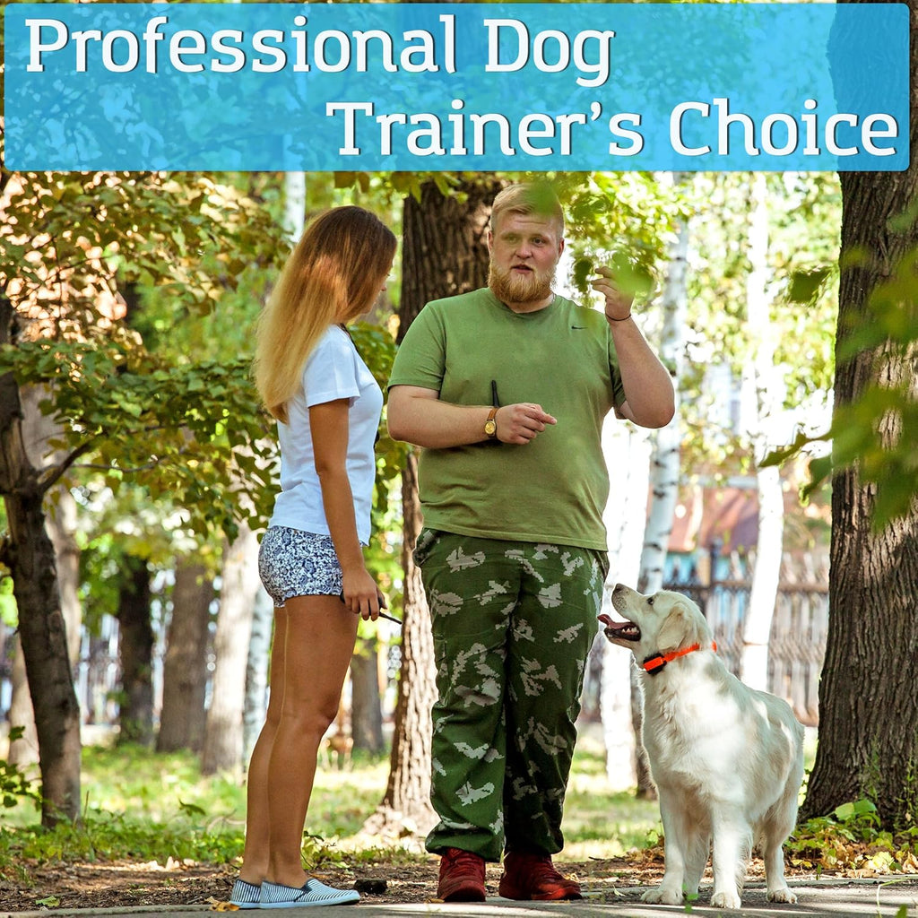 Waterproof Remote Training E-Collars for 2 Dogs W33950