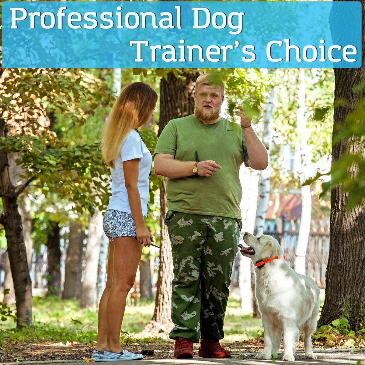Waterproof Remote Training E-Collars for 2 Dogs W33950