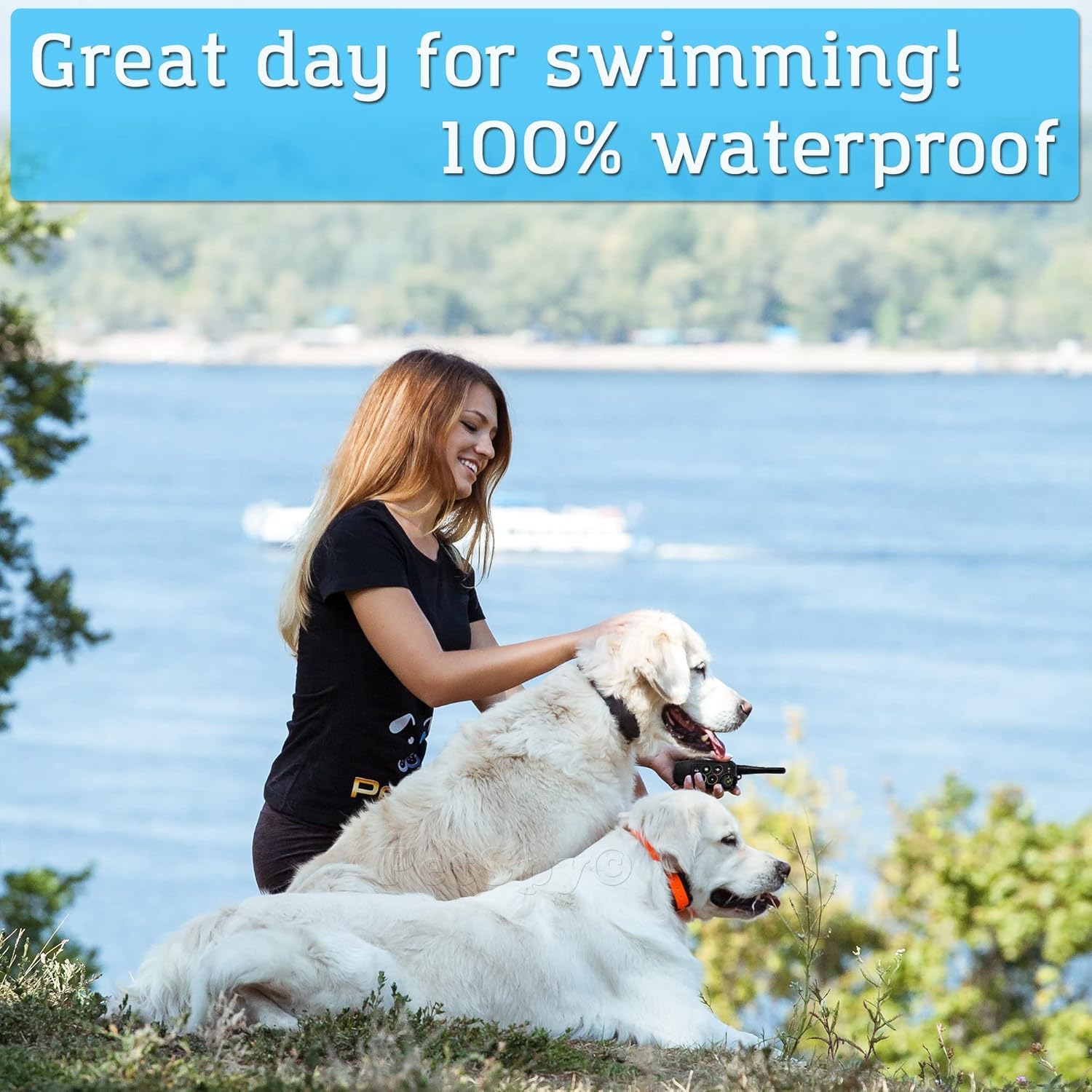 Waterproof Remote Training E-Collars for 2 Dogs W33950