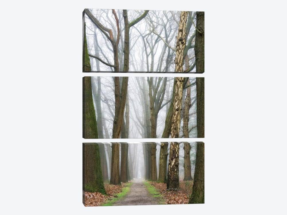 Large 3-Piece Canvas Print A7643