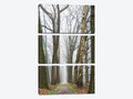 Large 3-Piece Canvas Print A7643